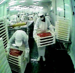 industria salmon (32)  ALIMENTOS MERCADO